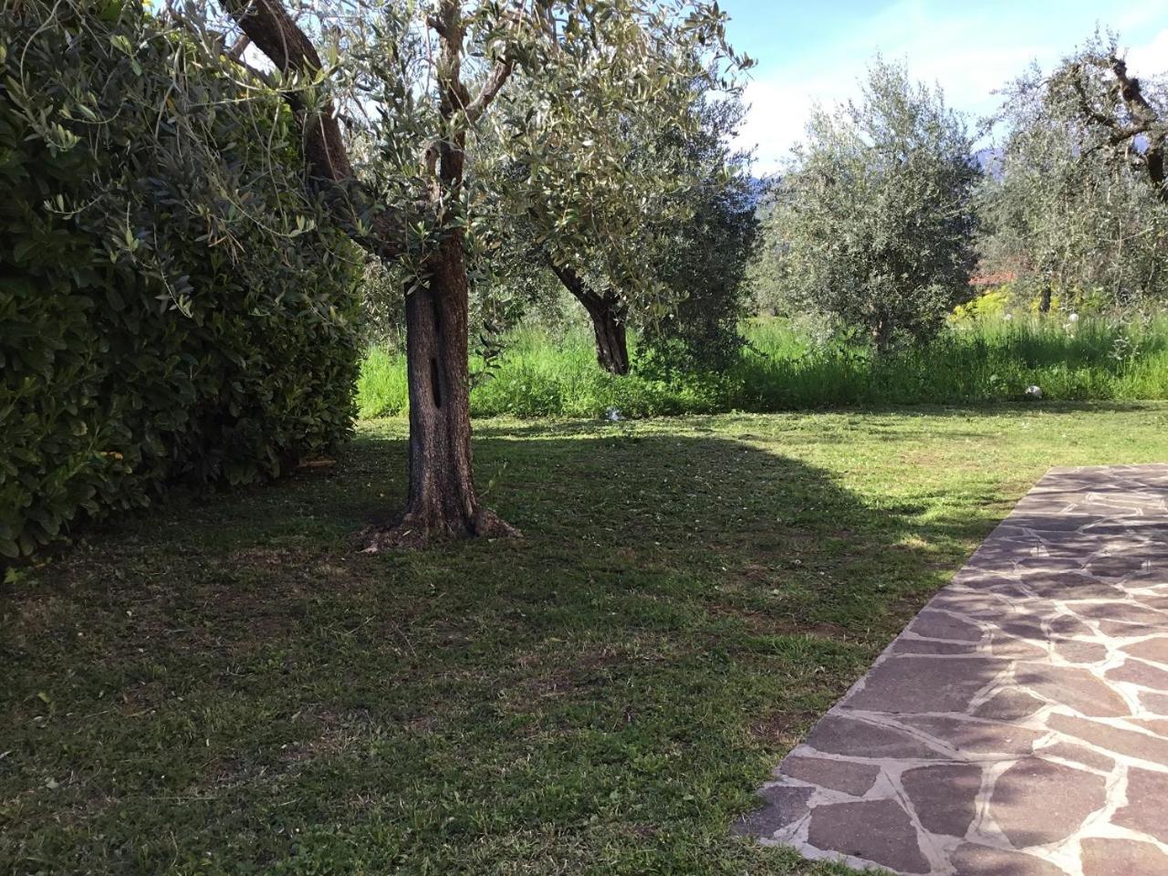 Bio Forester Manerba del Garda Exteriör bild